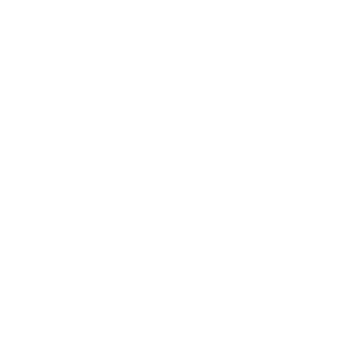 Github logo